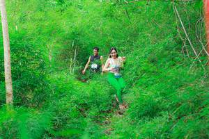 BIB: 
                            <button type="button" onclick="openModal(22092633)" class="btn btn-primary btn-sm float-right btn-popup" data-toggle="modal" data-target=".modal-high-quality">
                        <i class="fas fa-shopping-cart"></i> Add to Cart
                    </button>
                                            <button type="button" onclick="isThisMe(22092633, true)" class="btn btn-success btn-sm float-right btn-popup btn-isme hidden" data-toggle="tooltip" data-placement="bottom" title="นี่คือรูปของคุณใช่ไหม คลิกที่นี่เพื่อเอาเข้าอัลบั้ม">
                        <i class="fas fa-plus"></i> Add to album
                    </button>
                    <button type="button" onclick="isThisMe(22092633, false)" class="btn btn-warning btn-sm float-right btn-popup btn-isnotme hidden">
                        <i class="fas fa-ban"></i> Remove from album
                    </button>